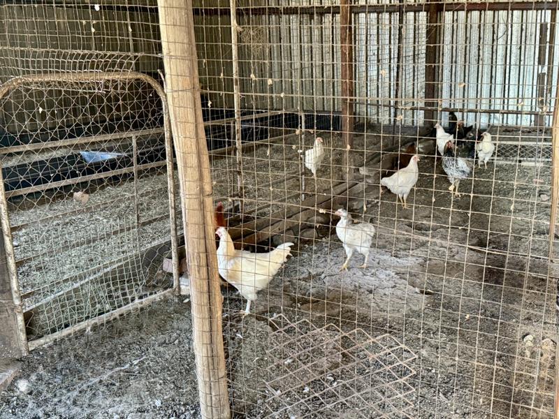0 Bedroom Property for Sale in Harrismith Free State